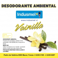 Desodorante Ambiental Econmico Vainilla 5 litros  