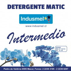 Detergente Lquido Calidad Intermedia 5 Litros